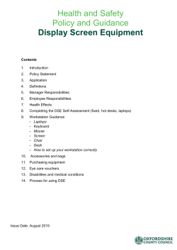 Self-Assessment and Guidance for Display Screen