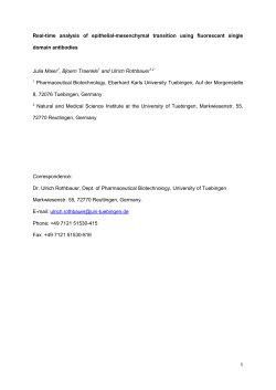 Supplementary Information