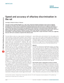 Speed and accuracy of olfactory discrimination in the rat