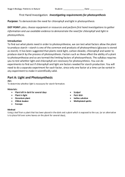 2.1.1 Requirements for Photosynthesis PRAC