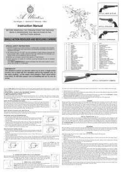Istr. Single Action:Istr. Single Action