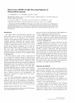 Fluorescence-ODMR of Light Harvesting Pigments of Photosynthetic