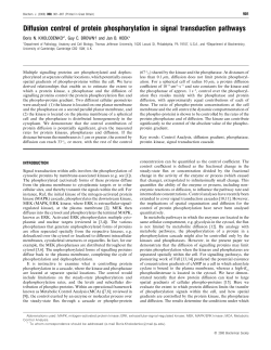 Diffusion control of protein phosphorylation in
