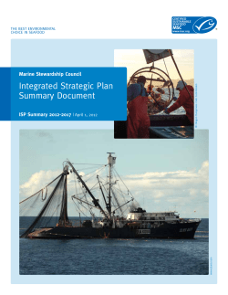 Integrated Strategic Plan Summary Document