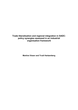 2. Regional integration in SADC: an industrial organisation