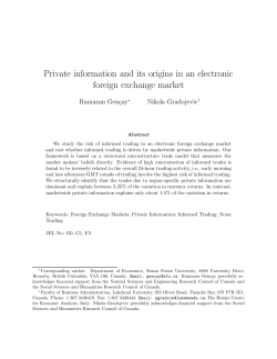 Private information and its origins in an electronic foreign exchange