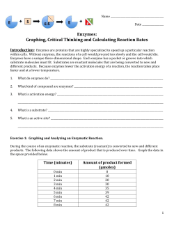 Name Date Enzymes: Graphing, Critical Thinking and Calculating