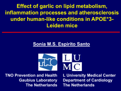 WP 5.2 - Espirito Santo