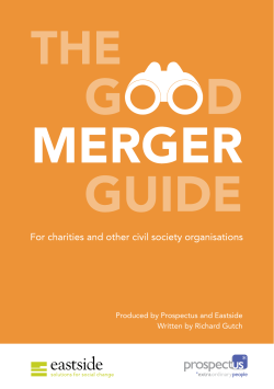 ThE GooD mERGER GuiDE