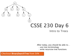 Intro to Trees - Rose