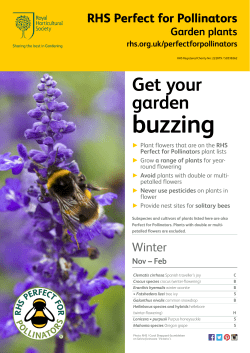RHS Perfect for Pollinators