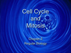 Cellular Transport and the Cell Cycle