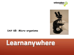 Unit 6B: Micro-organisms