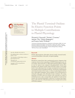 The Plastid Terminal Oxidase - Institut de Biologie Physico