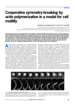 Cooperative symmetry-breaking by actin