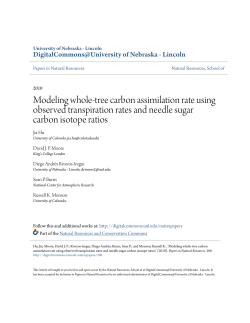 Modeling whole-tree carbon assimilation rate using observed