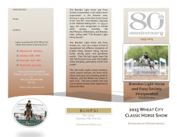 By becoming a sponsor at our show, you can showcase your