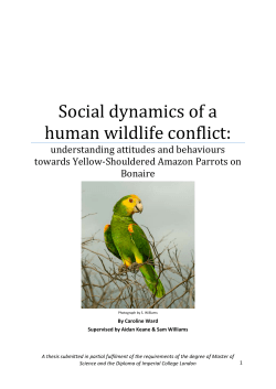 Social dynamics of a human wildlife conflict