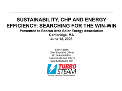 Sustainability, CHP, and Energy Efficiency: Searching for the Win-Win
