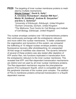 The targeting of inner nuclear membrane proteins is medi