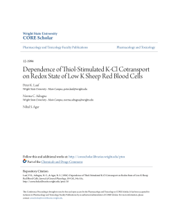 Dependence of Thiol-Stimulated K-Cl Cotransport on Redox State of