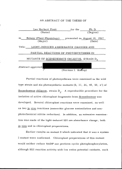 Light-Induced Absorbance Changes And Partial Reactions of