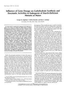 lnfluence of Gene Dosage on Carbohydrate