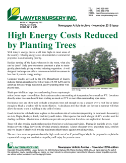 High Energy Costs Reduced by Planting Trees