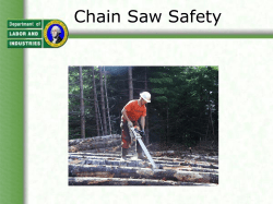 Chain Saw Safety