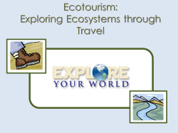 Eeko Travelers: Exploring Diversity - K