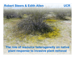 The role of resource heterogeneity on native plant response to