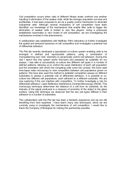 Cell competition occurs when cells of different fitness levels confront