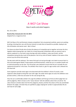 A WCF Cat Show