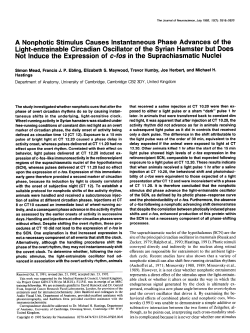 A Nonphotic Stimulus Causes Instantaneous