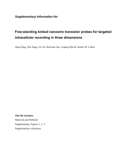 Free-standing kinked nanowire transistor probes for