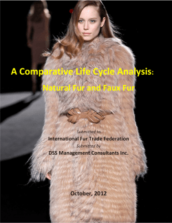 A Comparative Life Cycle Analysis