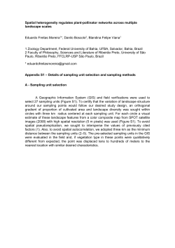 Spatial heterogeneity regulates plant