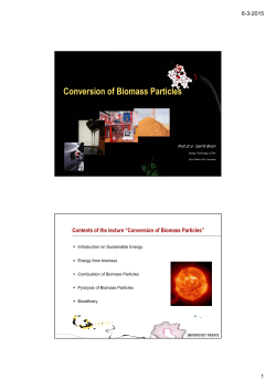 Conversion of Biomass Particles