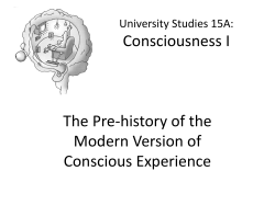 The Pre-history of the Modern Version of Conscious Experience