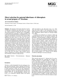 Direct selection for paternal inheritance of chloroplasts in sexual