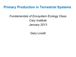NPP - Cary Intranet