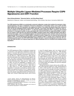 Multiple Ubiquitin Ligase&ndash;Mediated Processes Require