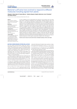 Bacterial LuxR solos have evolved to respond to different