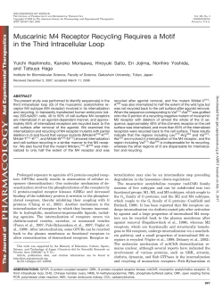Muscarinic M4 Receptor Recycling Requires a Motif in the Third