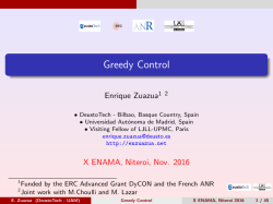 Greedy Control