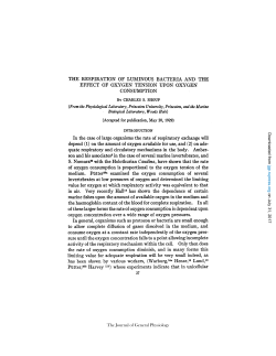 THE RESPIRATION OF LUMINOUS BACTERIA AND THE EFFECT