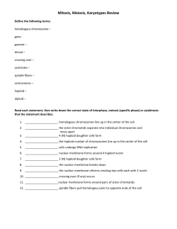 Mitosis, Meiosis, Karyotypes Review