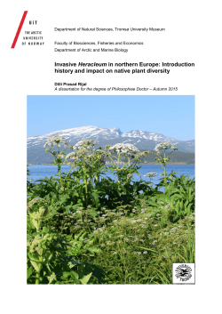Invasive Heracleum in northern Europe: Introduction - Munin