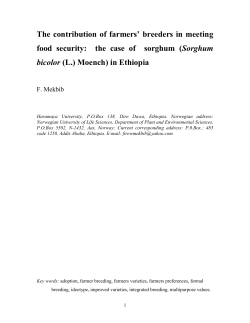 The Case of Sorghum in Ethiopia. Firew Mekbib