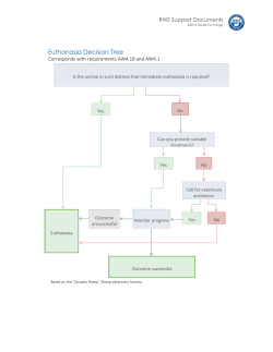 Euthanasia Decision Tree - Responsible Wool Standard
